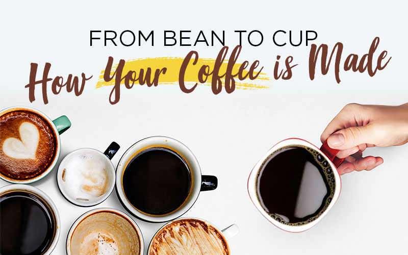 beantocup