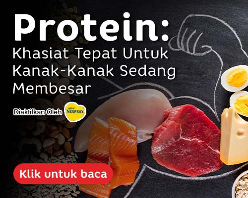 Protein: Khasiat Tepat untuk Membesar dengan Kuat